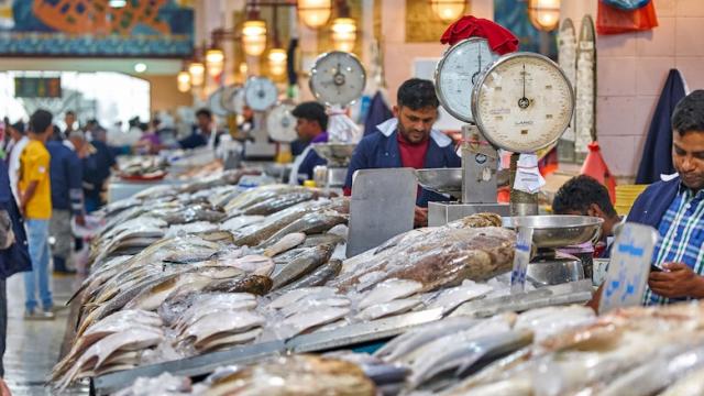 استقرار أسعار الأسماك فى بورصة «العبور»