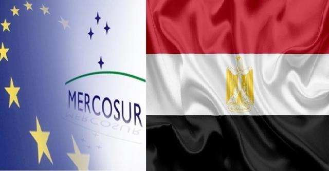 نيفين جامع : فرص كبيرة للصادرات المصرية للنفاذ لاسواق دول التجمع