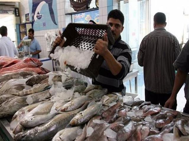 استقرار فى أسعار الأسماك بسوق الجملة
