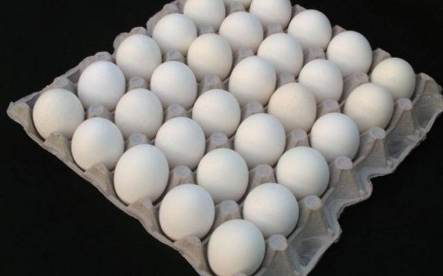 أسعار طبق البيض تتراوح بين 40 و42 جنيها فى السوق