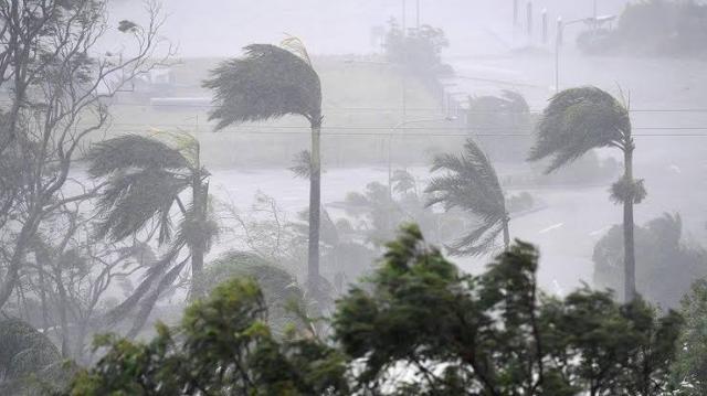 قرارات عاجلة من الإمارات لمواجهة إعصار شاهين