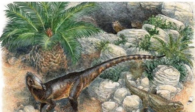العثور على ديناصور بحجم دجاجة بعد 200 مليون سنة.. إليك التفاصيل كاملة