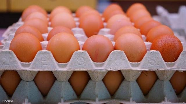 بورصة الأسعار| أسعار البيض «تستقر» فى السوق المحلية اليوم الخميس