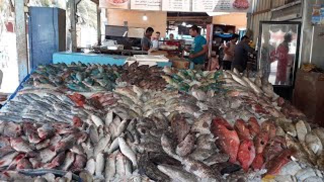 بورصة الأسعار| تعرف على أسعار الأسماك بسوق الجملة فى العبور