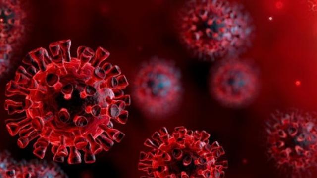 إفريقيا تُسجل 8 ملايين إصابة بفيروس كورونا