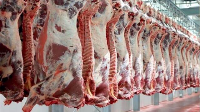 بورصة الأسعار| استقرار أسعار اللحوم .. الكندوز يسجل 140- 165 جنيها للكيلو