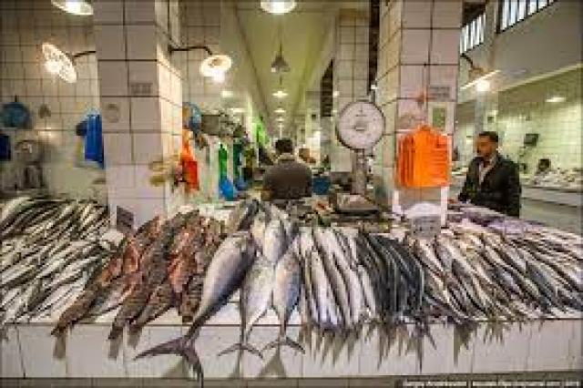 بورصة الأسعار| استقرار أسعار السمك فى سوق الجملة