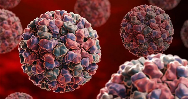 الإمارات تُسجل 2,366 إصابة جديدة بفيروس كورونا