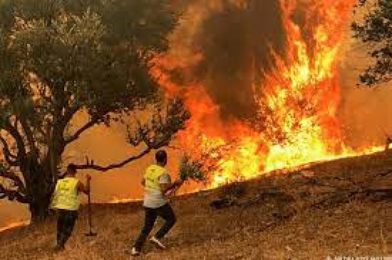 الجزائر تُعلن إخماد 22 حريقًا في 12 ولاية خلال 24 ساعة