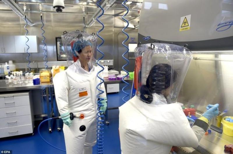 كارثة.. مختبر ووهان الصيني يُعلن عن اكتشاف فيروس جديد