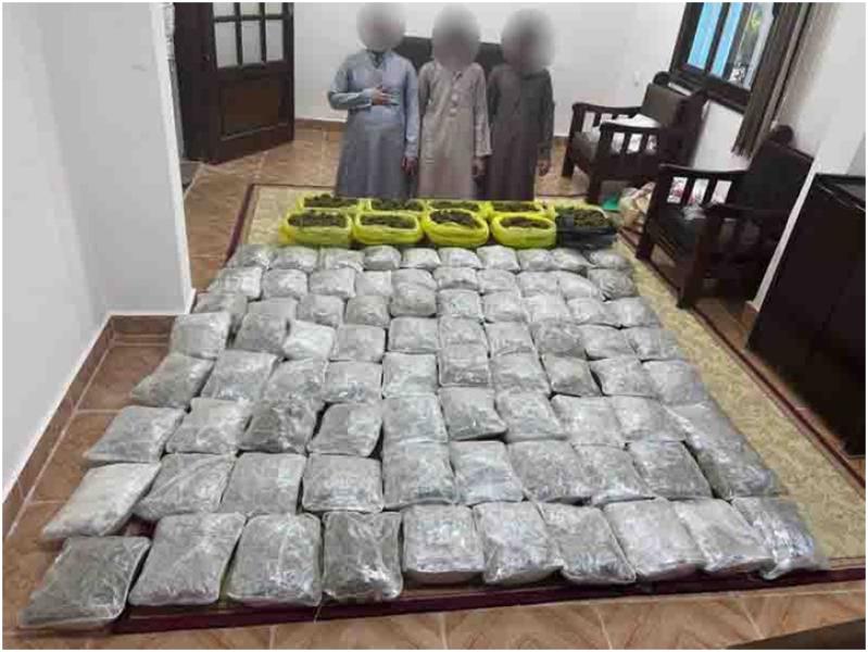 بالصورة .. تفاصيل ضبط 300 كيلو من مخدر الهيدرو بجنوب سيناء