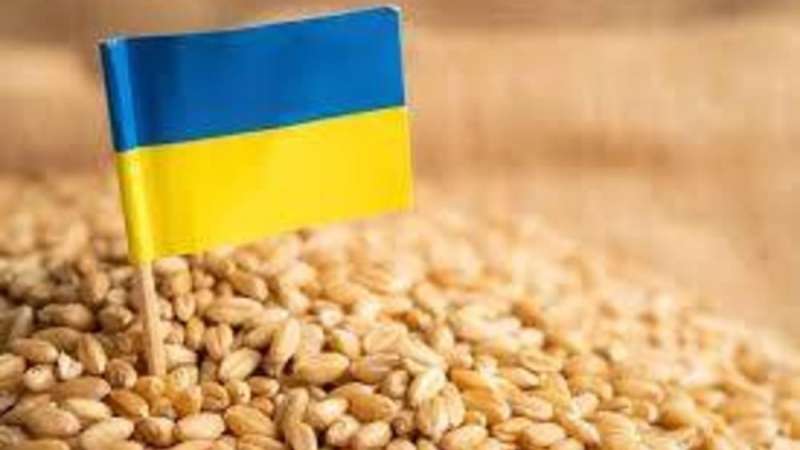 استقالة منسق الأمم المتحدة لصفقة الحبوب الأوكرانية.. اعرف السبب