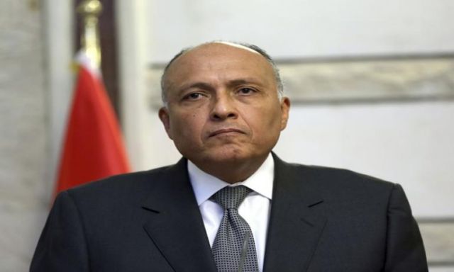 سامح شكري:الرئيس يطرح رؤية مصر لمسئوليتها حال إنتخابها لعضوية مجلس الامن