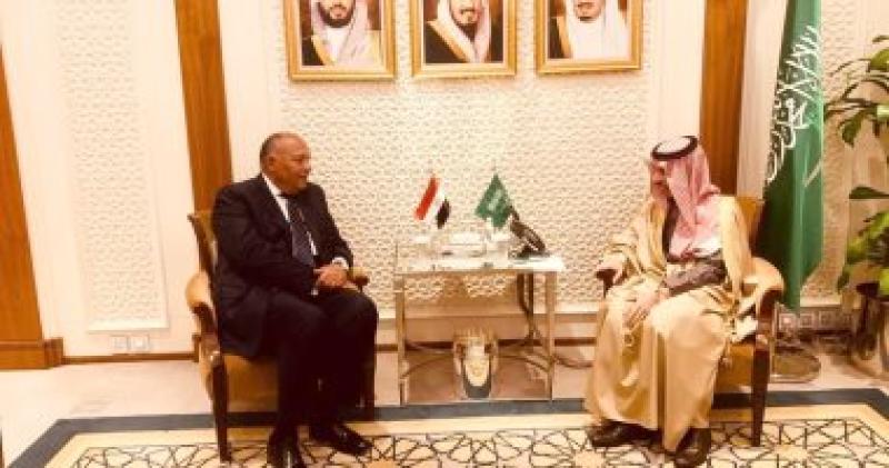 شكري يلتقي نظيره السعودى قبل بدء اجتماع لجنة التشاور السياسي المصرية السعودية