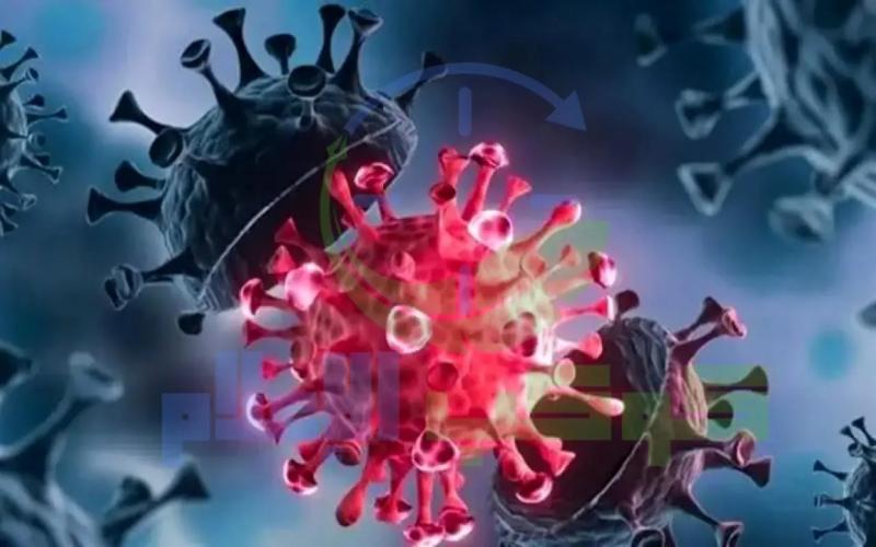 ”الصحة” تحذر من خطورة فيروس ماربورج القاتل و تكشف آلية التطهير لمنع العدوى