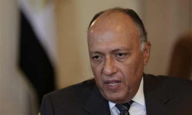 سامح شكري يؤكد لرئيس وزراء الصومال التزام مصر بدعم بلاده