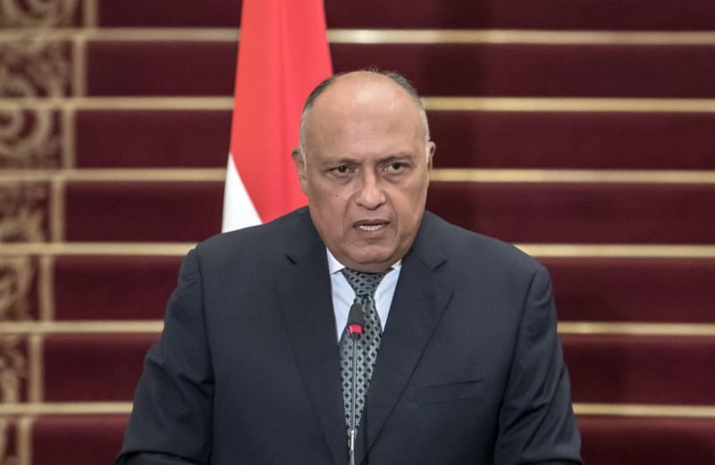 وزير الخارجية: نرفض تصفية القضية الفلسطينية على حساب مصر