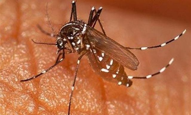 وزير الصحة السعودي: سجلنا حالات إصابة بالملاريا