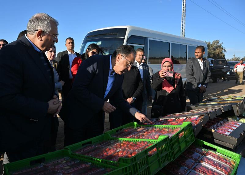 رئيس الوزراء يتفقد مزرعة للصناعات الغذائية بالنوبارية (صور)