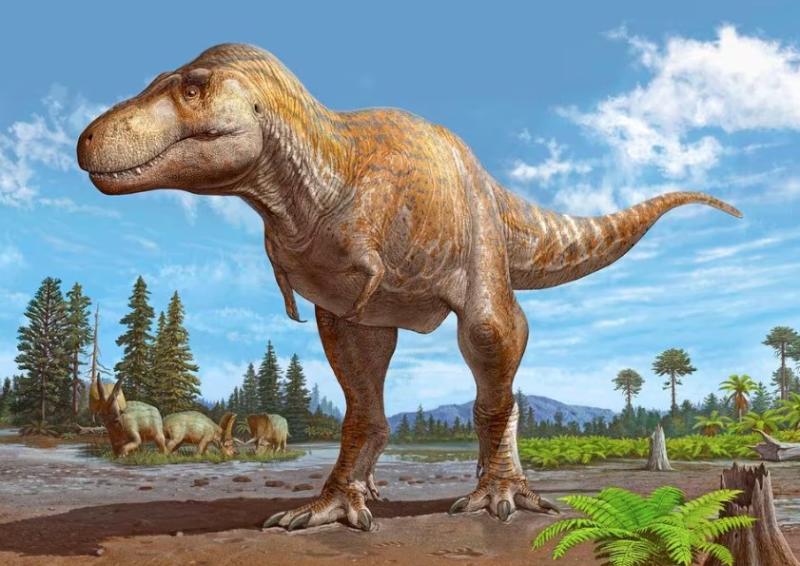 على طريقة ”تي ركس”.. اكتشاف نوع جديد من الديناصورات في نيو مكسيكو