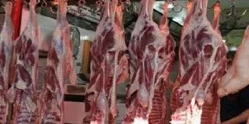 الجملى يسجل 300 جنيه .. أسباب ارتفاع أسعار اللحوم