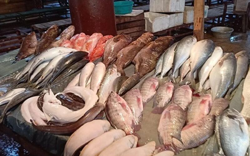 ثبات أسعار الأسماك والبلطى يسجل 71 جنيه