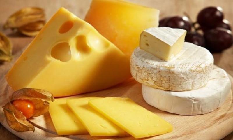 أسعار الجبن والألبان اليوم الثلاثاء 23 يناير 2024