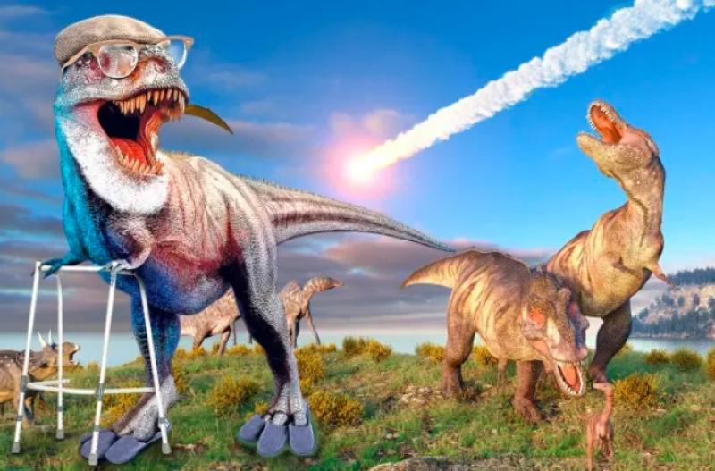 دراسة صادمة.. أشهر ديناصور في العالم عانى من آلام الظهر والركبتين