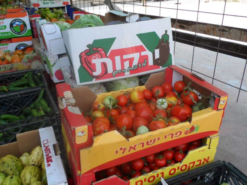 أسعار الخضروات والفاكهة اليوم الأربعاء 21-2-2024 من داخل سوق العبور