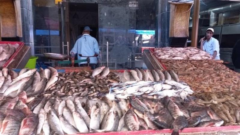 تراجع أسعار السمك اليوم الخميس 7-3-2024 داخل الأسواق