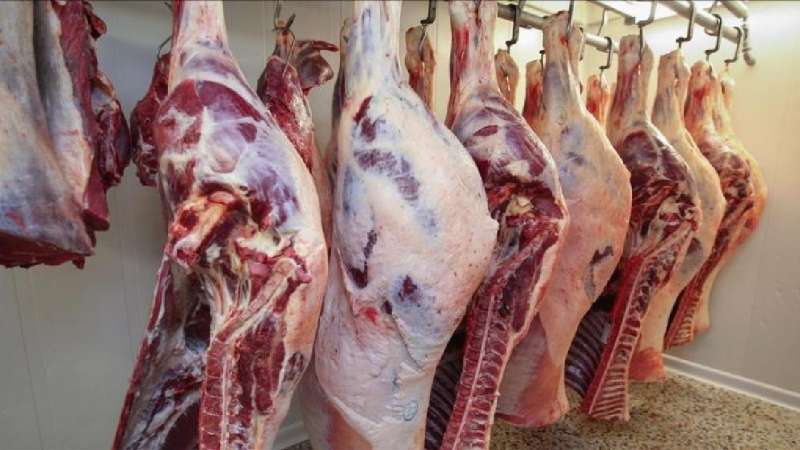 أسعار اللحوم اليوم السبت 16-3-2024 داخل الأسواق والمنافذ الحكومية