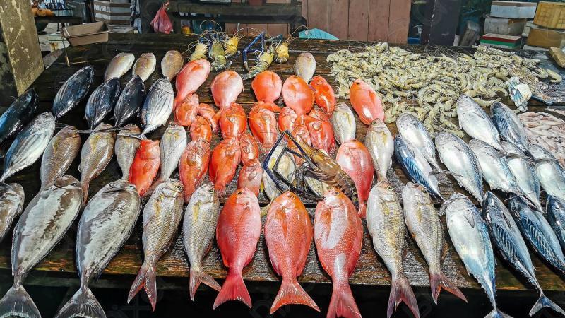 أسعار السمك اليوم السبت 30-3-2024 في سوق العبور