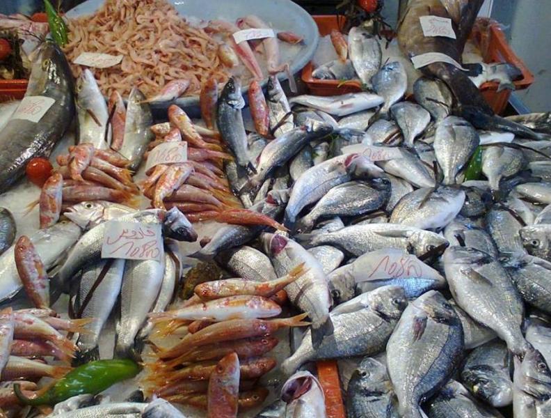 أسعار السمك اليوم السبت 6-4-2024 داخل سوق العبور