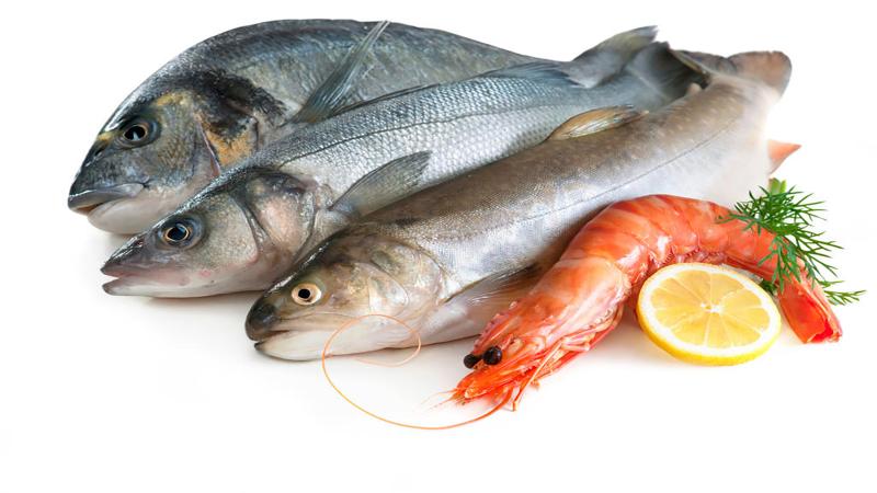 أسعار السمك اليوم الأربعاء 10-4-2024 بعد ارتفاع الجمبري