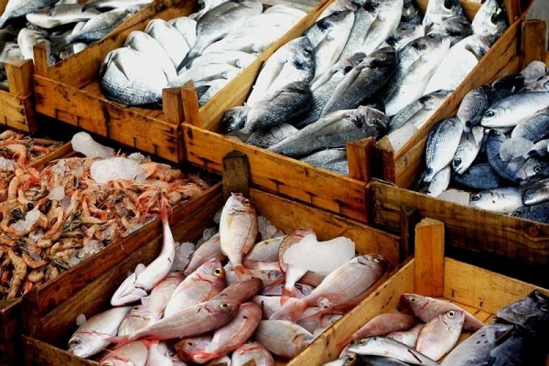 أسعار الأسماك اليوم الأحد 21-4-2024 في الأسواق.. والجمبري يسجل 510 جنيه
