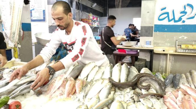 ثورة أسعار السمك تؤتي ثمارها .. هبوط حاد بنسبة 30% في الإسماعيلية