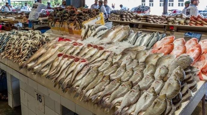 تسبب تسمم غذائي.. «الصحة» تحذر من  خطورة الأسماك الفاسدة