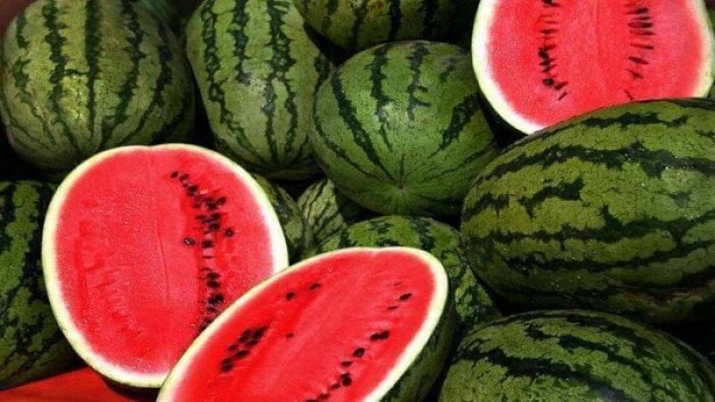 البطيخ المسرطن .. فزاعة جديدة تهز سوق الفاكهة المصري