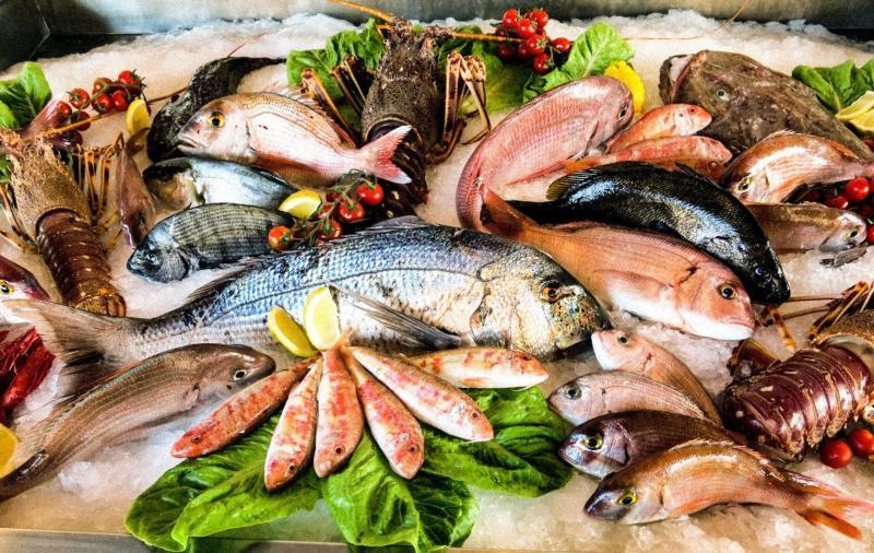 أسعار الأسماك في مصر اليوم الخميس 2-5-2024 قبل الاحتفال بشم النسيم