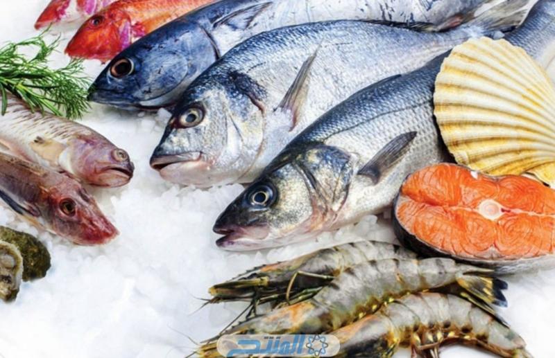 أسعار الأسماك اليوم الثلاثاء 7-5-2024