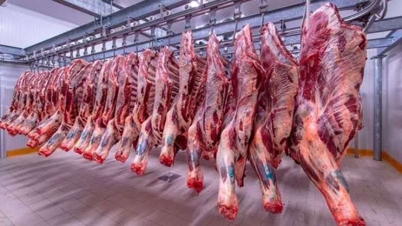 اسعار اللحوم اليوم 9-5 