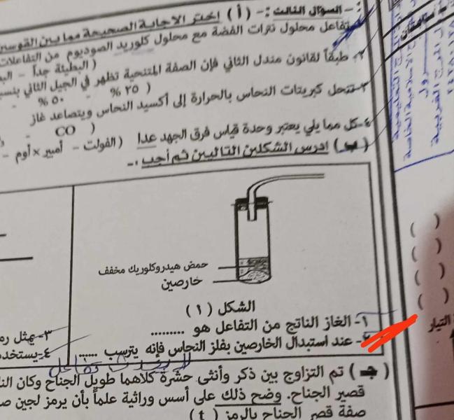 داليا الحزاوي:  شكاوي بسبب سؤال خارج منهج علوم القاهرة في امتحانات الشهادة الإعدادية