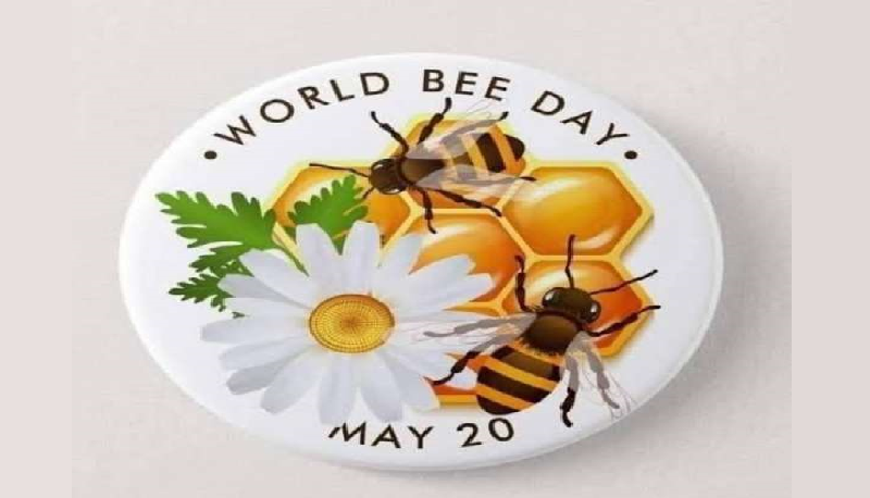 في اليوم العالمي للنحل 2024.. ما هي فوائد العسل على الصحة؟