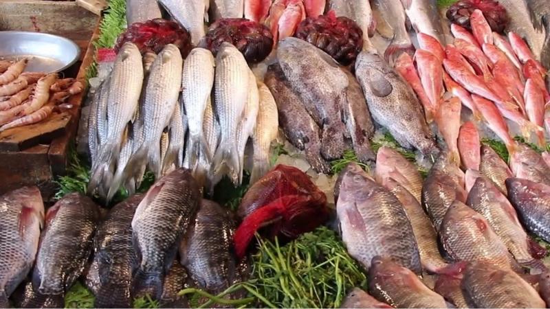 أسعار الأسماك اليوم الاثنين 27-5-2024 في سوق العبور