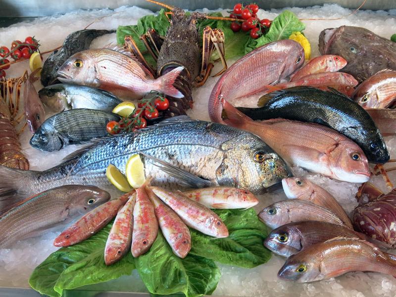 أسعار الأسماك اليوم الخميس 30-5-2024 في الأسواق