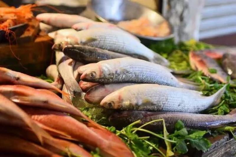 مفاجأة بشأن أسعار الأسماك اليوم الاثنين 3-6-2024 قبل عيد الأضحى