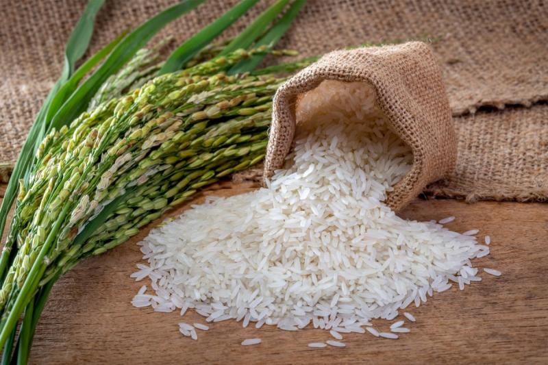 سعر الأرز الشعير اليوم وصل لكام بعد انخفاضه