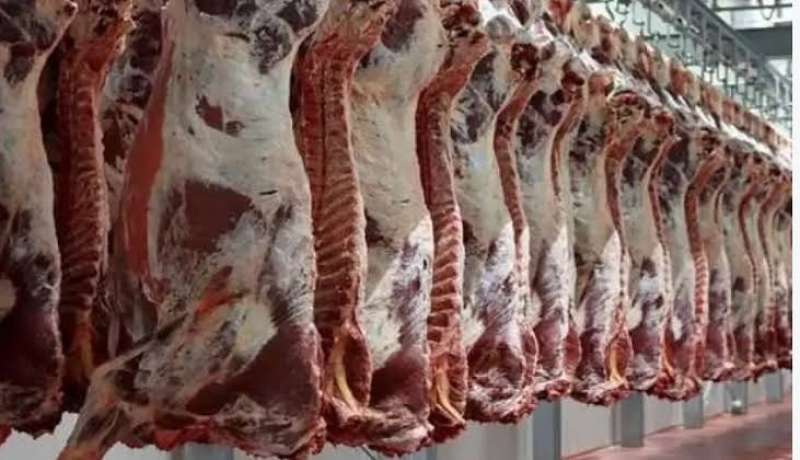 تراجع في أسعار اللحوم اليوم بالمجمعات والمنافذ الاستهلاكية
