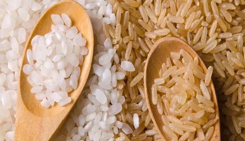 سعر الأرز الشعير اليوم بختام التعاملات.. والأبيض مفاجأة