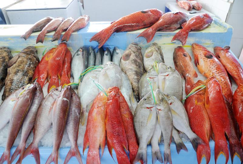 ارتفاع أسعار الأسماك اليوم السبت 15-6-2024 في الأسواق